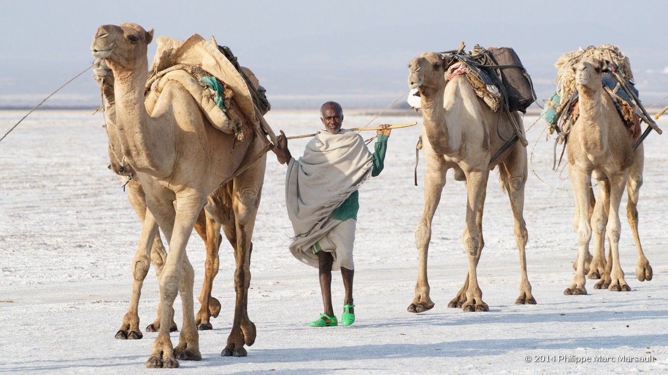 /ecran/Ethiopie_2014_0997.jpg