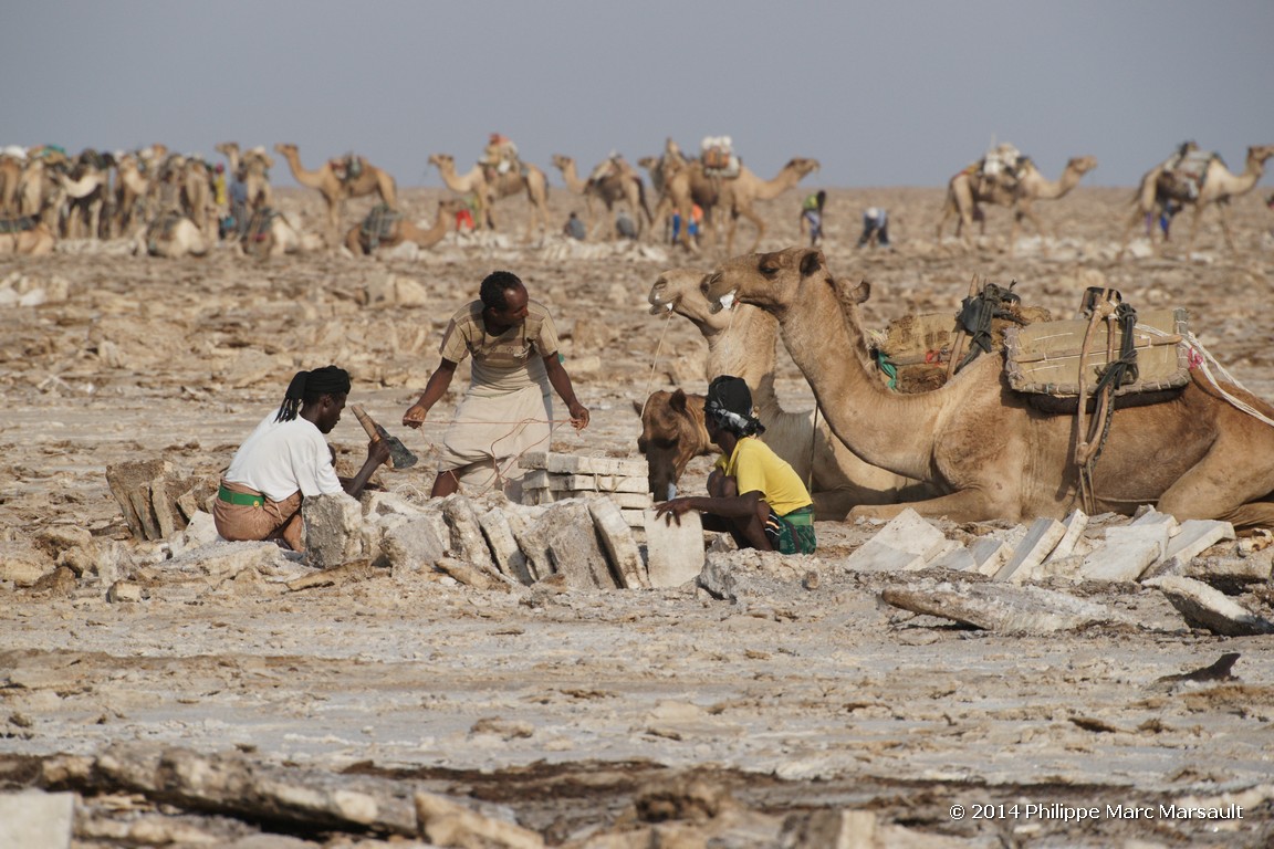 /ecran/Ethiopie_2014_1028.jpg