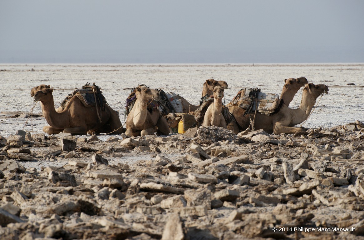 /ecran/Ethiopie_2014_1074.jpg