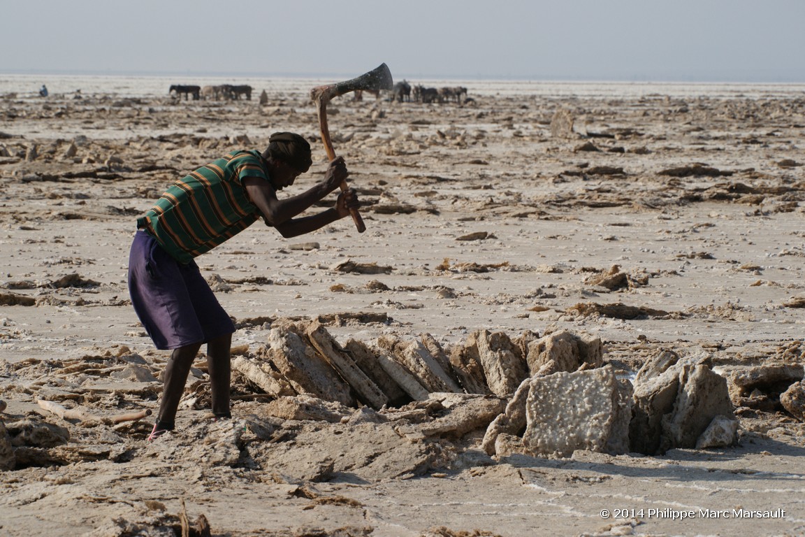 /ecran/Ethiopie_2014_1086.jpg