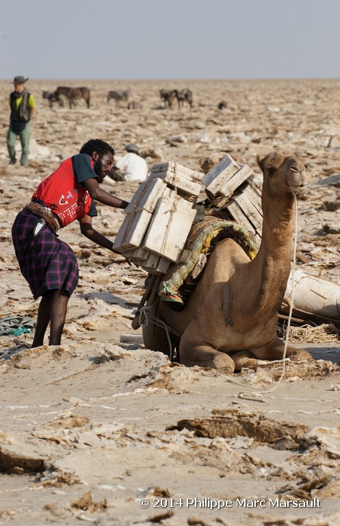 /ecran/Ethiopie_2014_1111.jpg