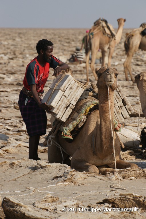 /ecran/Ethiopie_2014_1114.jpg