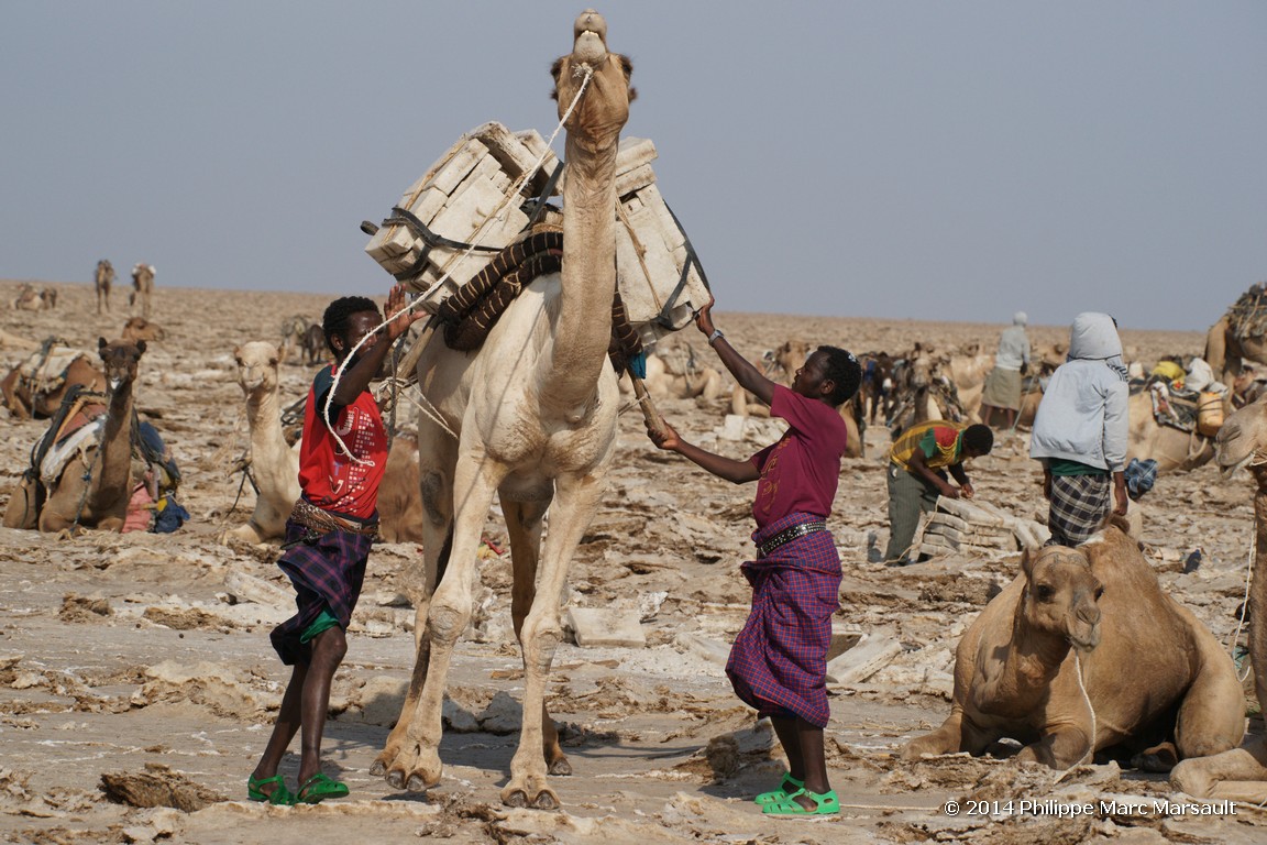 /ecran/Ethiopie_2014_1142.jpg