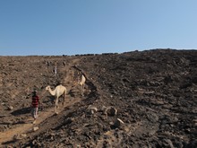 vignette Ethiopie_2014_0203.jpg 