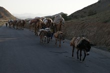 vignette Ethiopie_2014_0520.jpg 