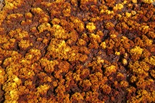 vignette Ethiopie_2014_0657.jpg 