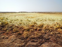 vignette Ethiopie_2014_0700.jpg 