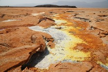 vignette Ethiopie_2014_0778.jpg 