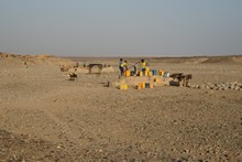 vignette Ethiopie_2014_0803.jpg 