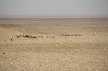 vignette Ethiopie_2014_0813.jpg 
