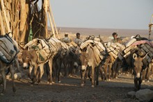 vignette Ethiopie_2014_0815.jpg 