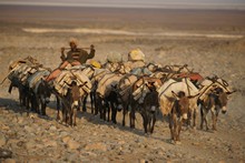 vignette Ethiopie_2014_0826.jpg 