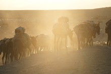 vignette Ethiopie_2014_0831.jpg 