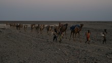 vignette Ethiopie_2014_0850.jpg 