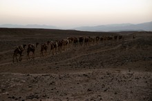 vignette Ethiopie_2014_0855.jpg 
