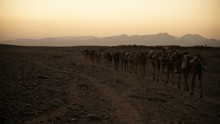 vignette Ethiopie_2014_0861.jpg 