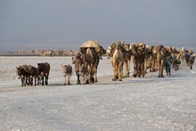 vignette Ethiopie_2014_0959.jpg 