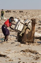 vignette Ethiopie_2014_1111.jpg 