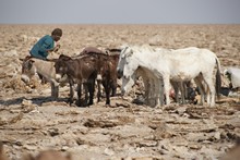 vignette Ethiopie_2014_1137.jpg 