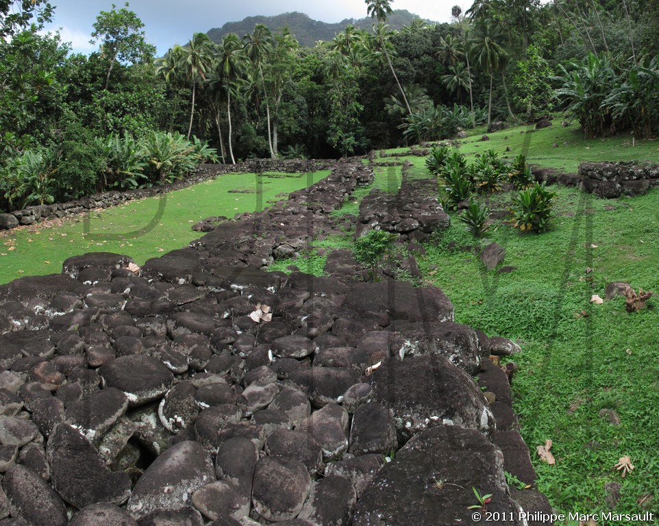 /ecran/Polynesie_2011_0220.jpg