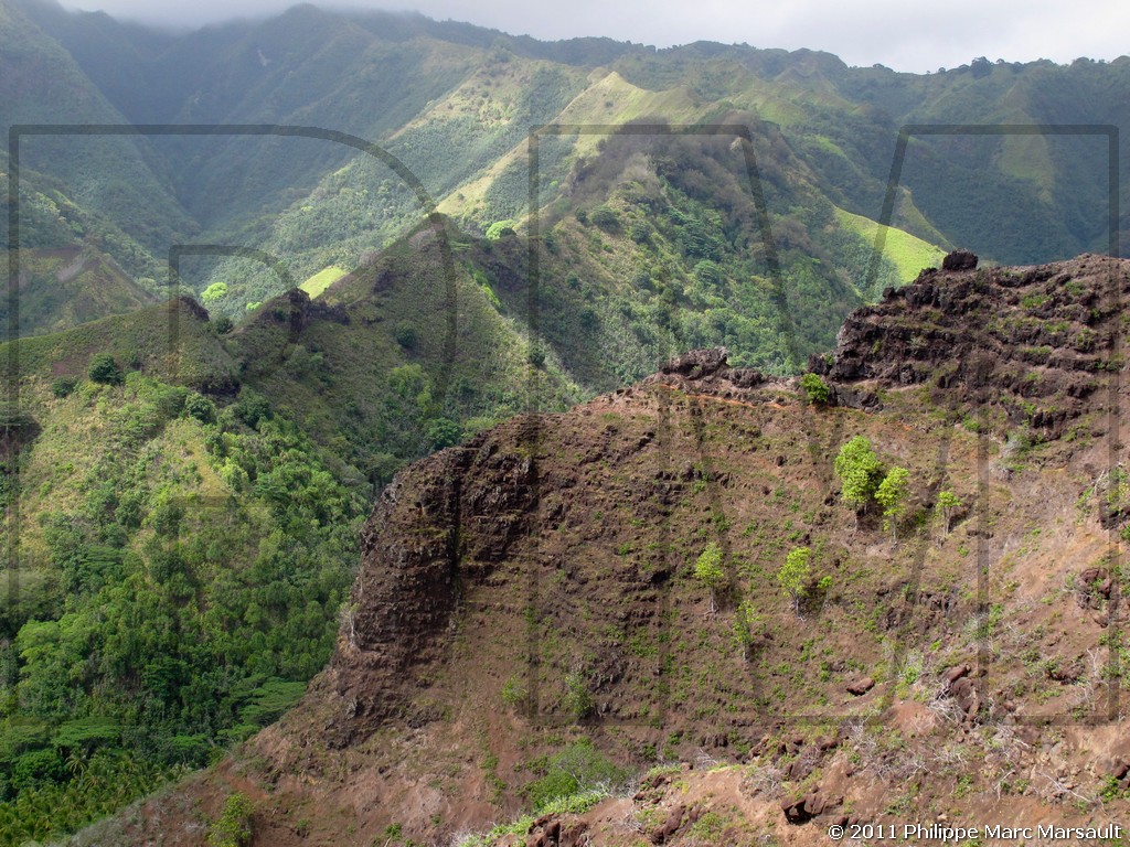 /ecran/Polynesie_2011_0232.jpg