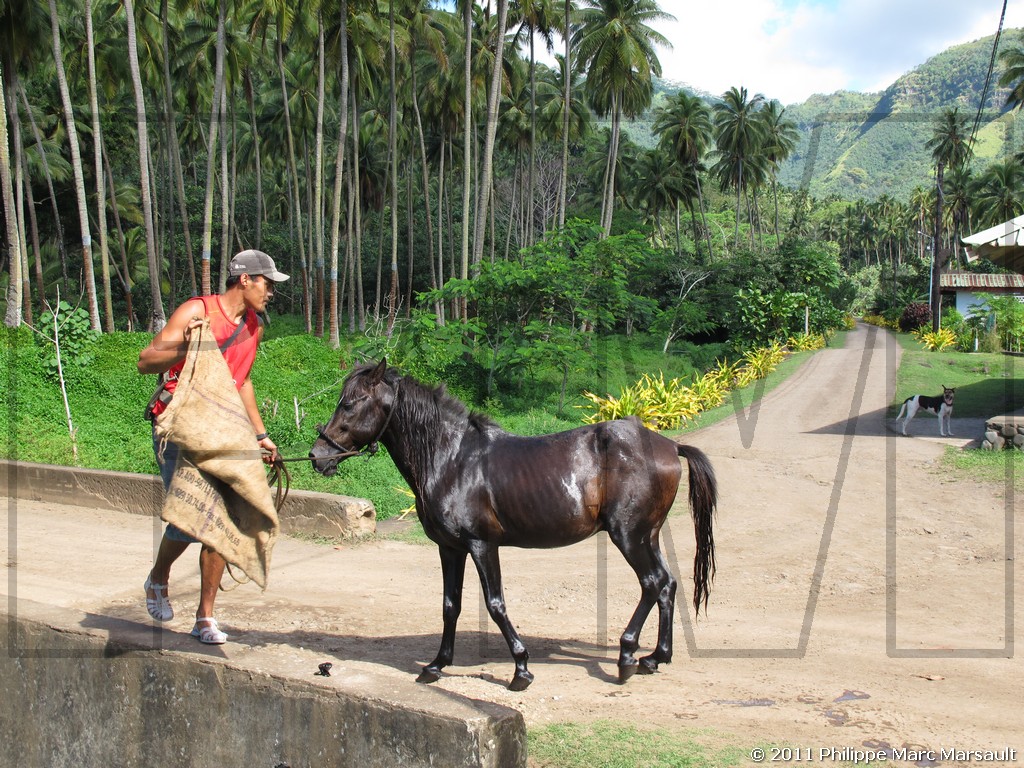 /ecran/Polynesie_2011_0268.jpg