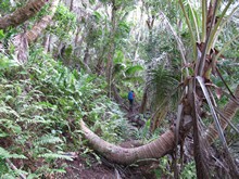 vignette Polynesie_2011_0127.jpg 