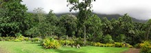 vignette Polynesie_2011_0245.jpg 