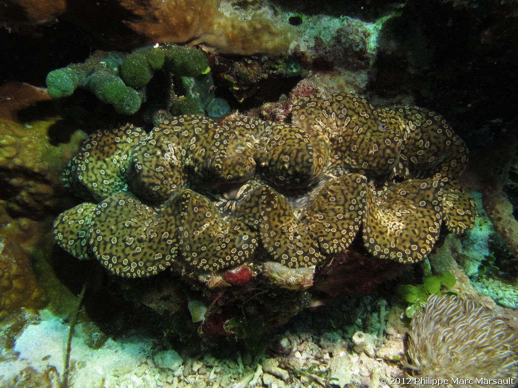 /ecran/Alor_2012-04_0491.jpg