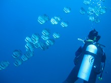 vignette Alor_2012-04_0120.jpg 