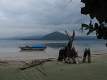 vignette Alor_2012-04_0850.jpg 