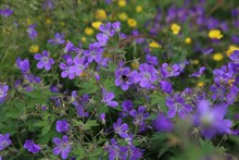 vignette Islande_0364.jpg 