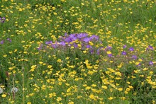 vignette Islande_0366.jpg 