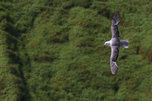 vignette Islande_0380.jpg 