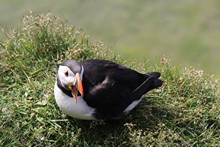 vignette Islande_0400.jpg 