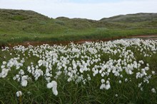 vignette Islande_0491.jpg 