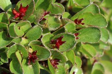 vignette Islande_0525.jpg 