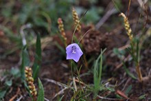 vignette Islande_1328.jpg 