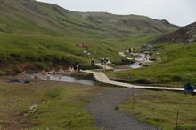 vignette Islande_1950.jpg 