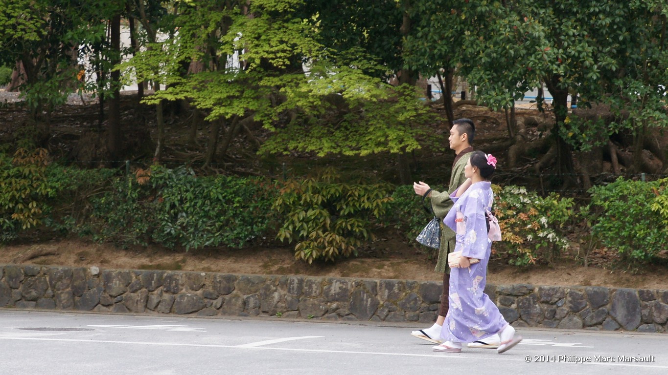 /ecran/Japon_2014_0276.jpg