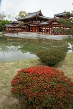 vignette Japon_2014_0116.jpg 