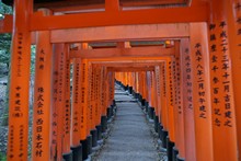 vignette Japon_2014_0158.jpg 