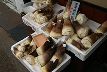 vignette Japon_2014_0170.jpg 