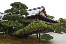 vignette Japon_2014_0220.jpg 