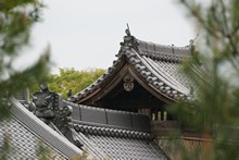 vignette Japon_2014_0238.jpg 