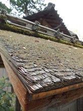 vignette Japon_2014_0251.jpg 