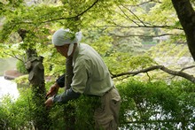 vignette Japon_2014_0293.jpg 