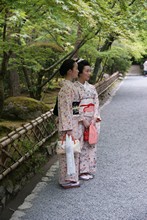 vignette Japon_2014_0301.jpg 