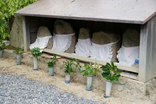 vignette Japon_2014_0313.jpg 