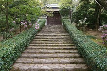 vignette Japon_2014_0361.jpg 